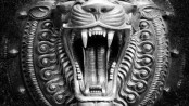 Massiv - Raubtier